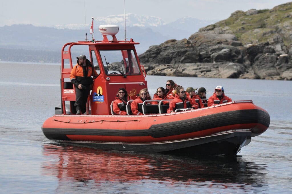Campbell River Whale Watching