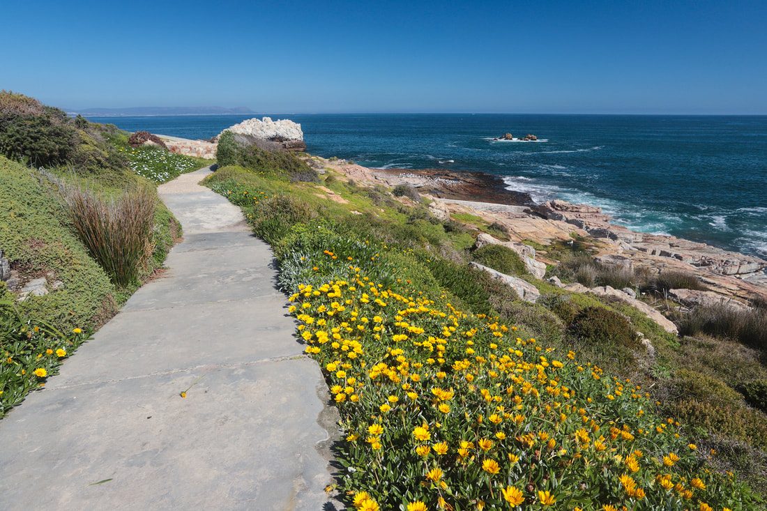 Cliff Path Viewpoint