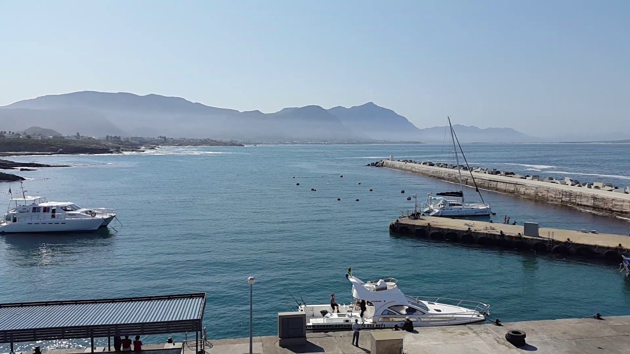New Harbour Jetty