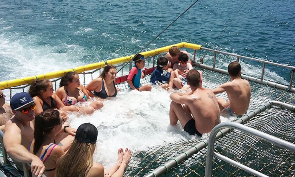 Port Stephens Dolphin Cruise