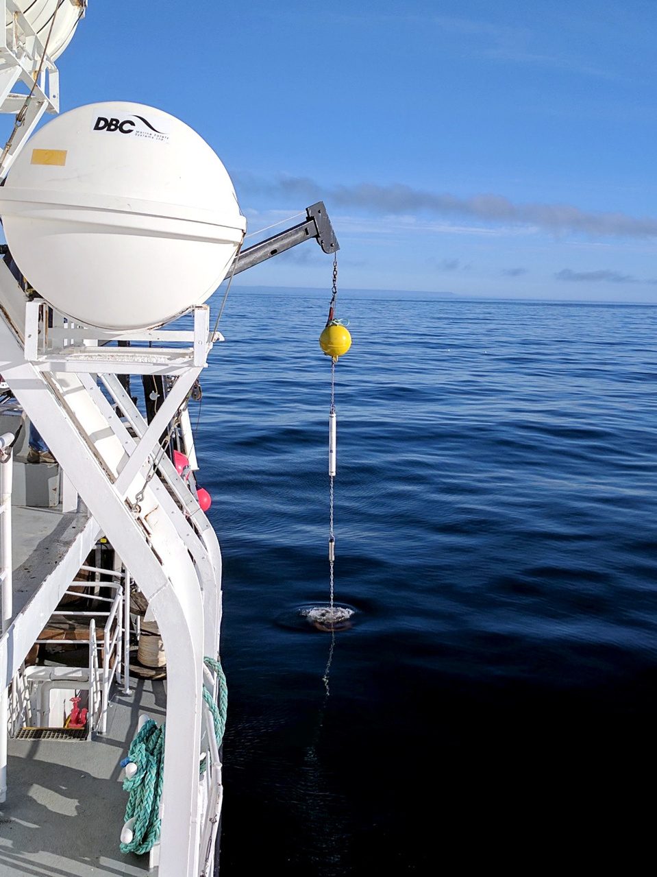 Hydrophone System