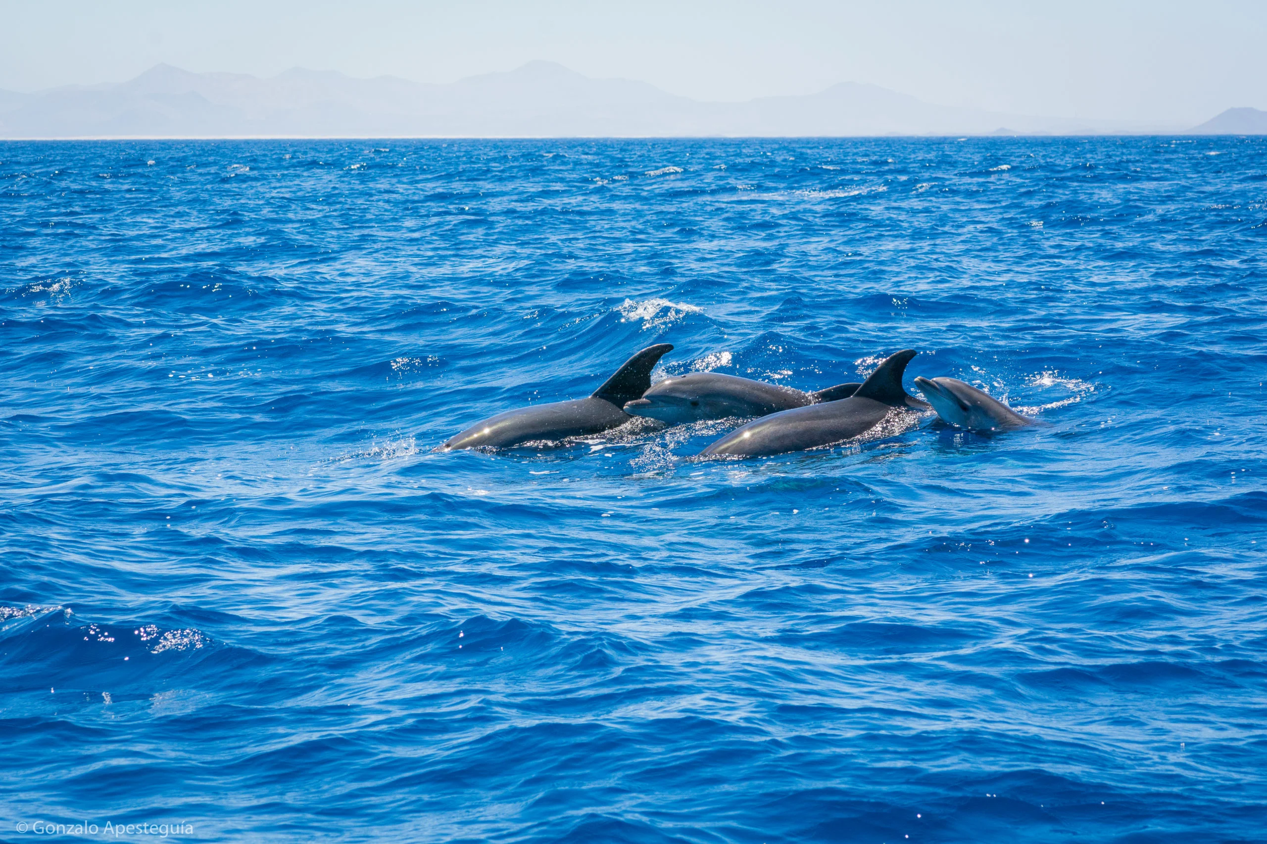 Atlantic Ocean Waters