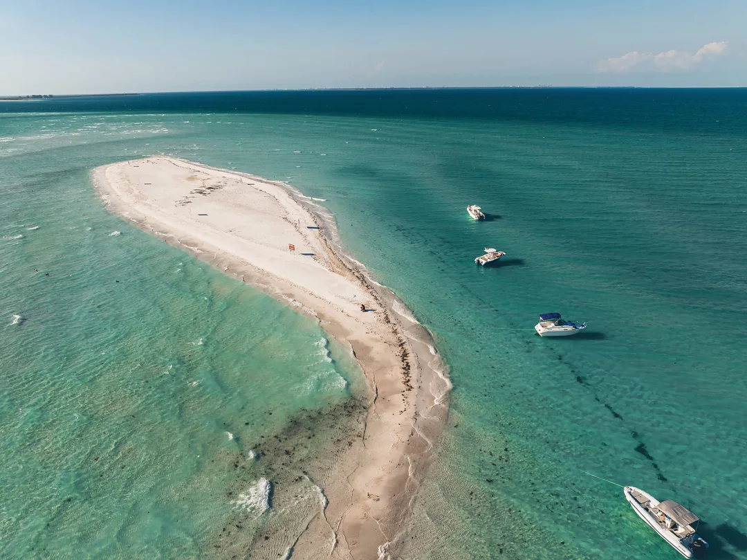 Clearwater Beach Dolphin and Sandbar Boat Cruise