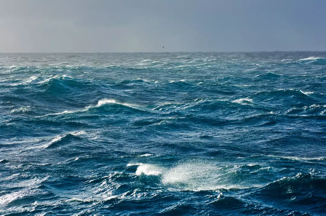 Marine Wildlife Zones
