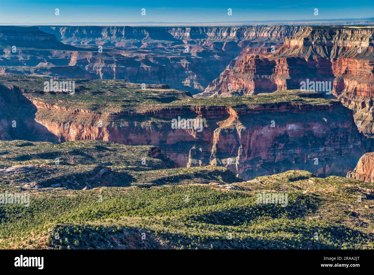 Kaibab National Forest