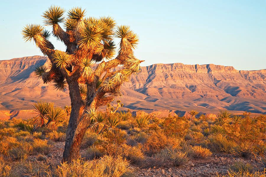 Grand Wash Cliffs