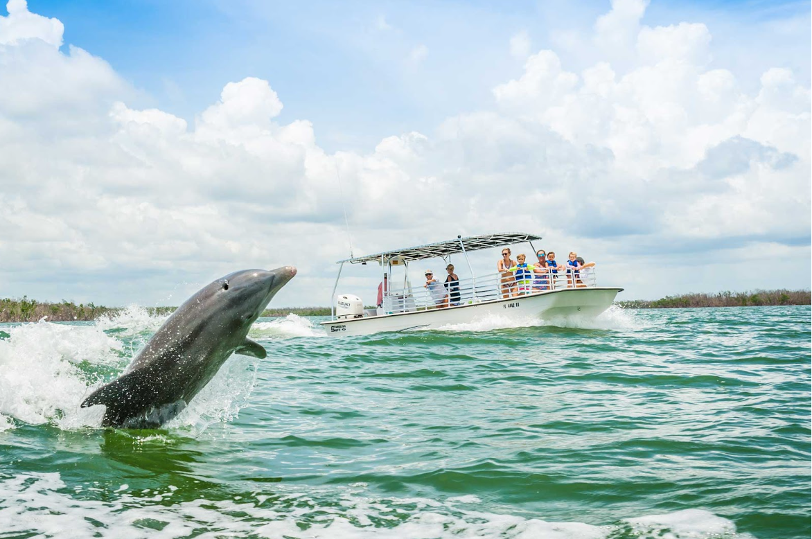 Johns Pass Dolphin Tour
