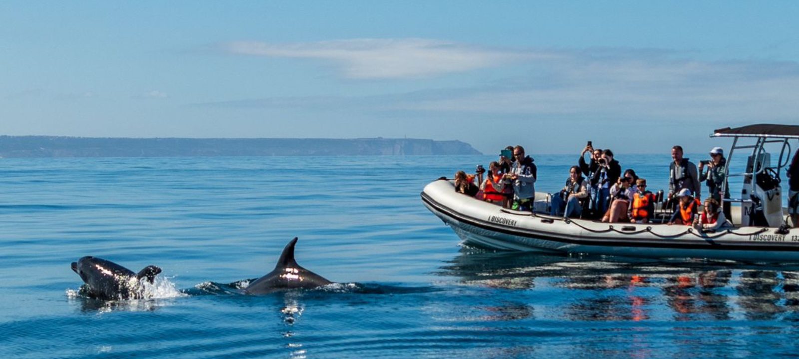Dolphin Quest Catamaran