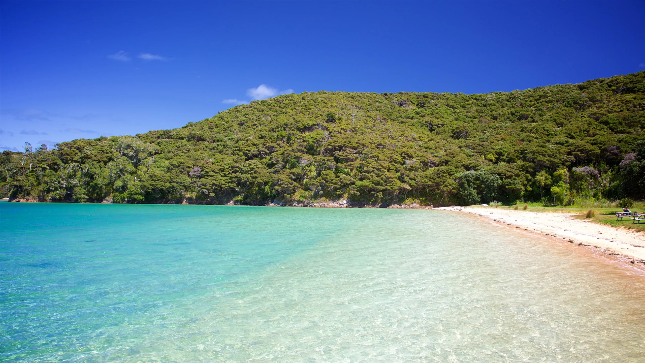 Urupukapuka Island