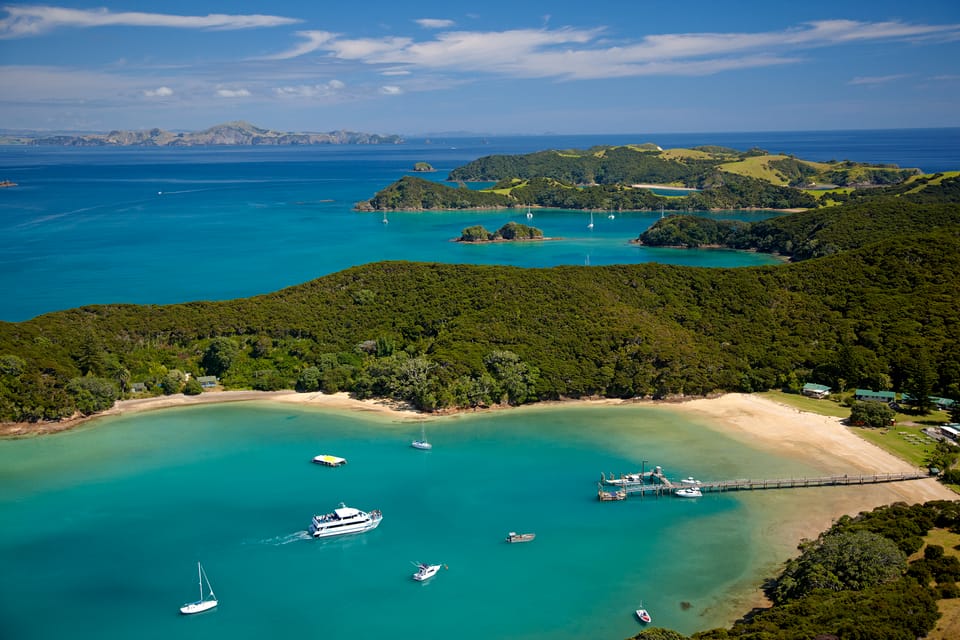 Waitangi Bridge Viewpoint