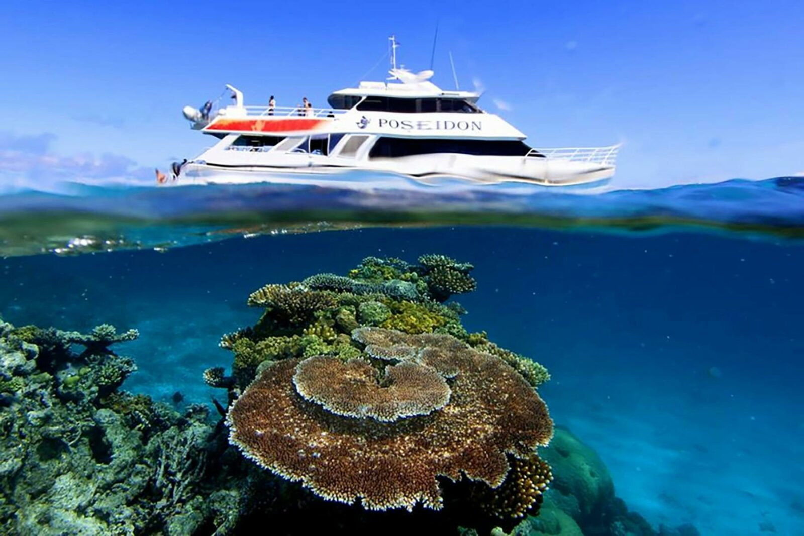 Outer Reef Crest