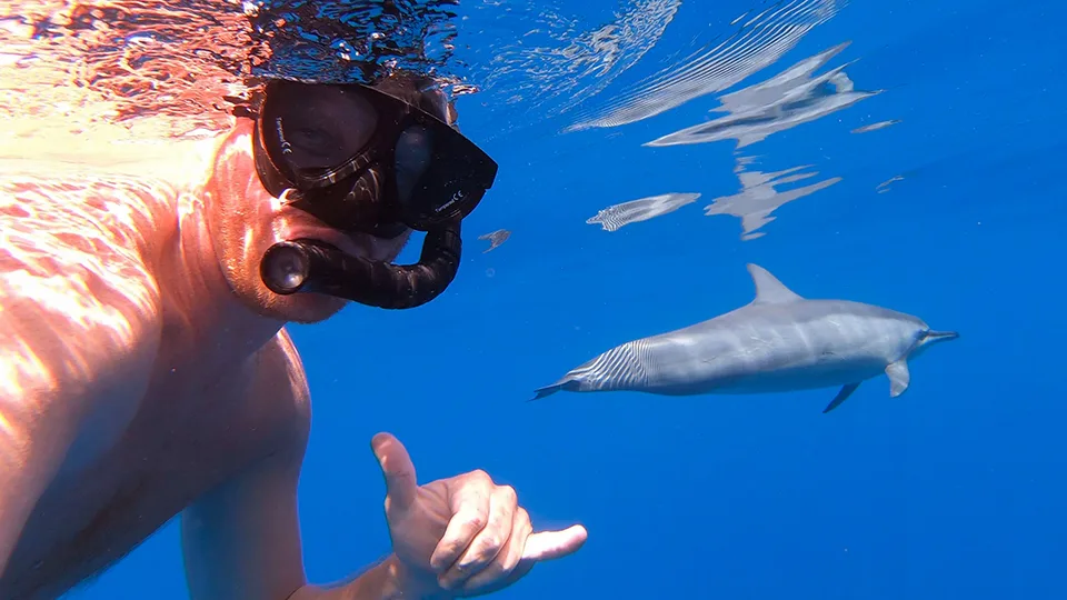 Dolphin House Hurghada Diving