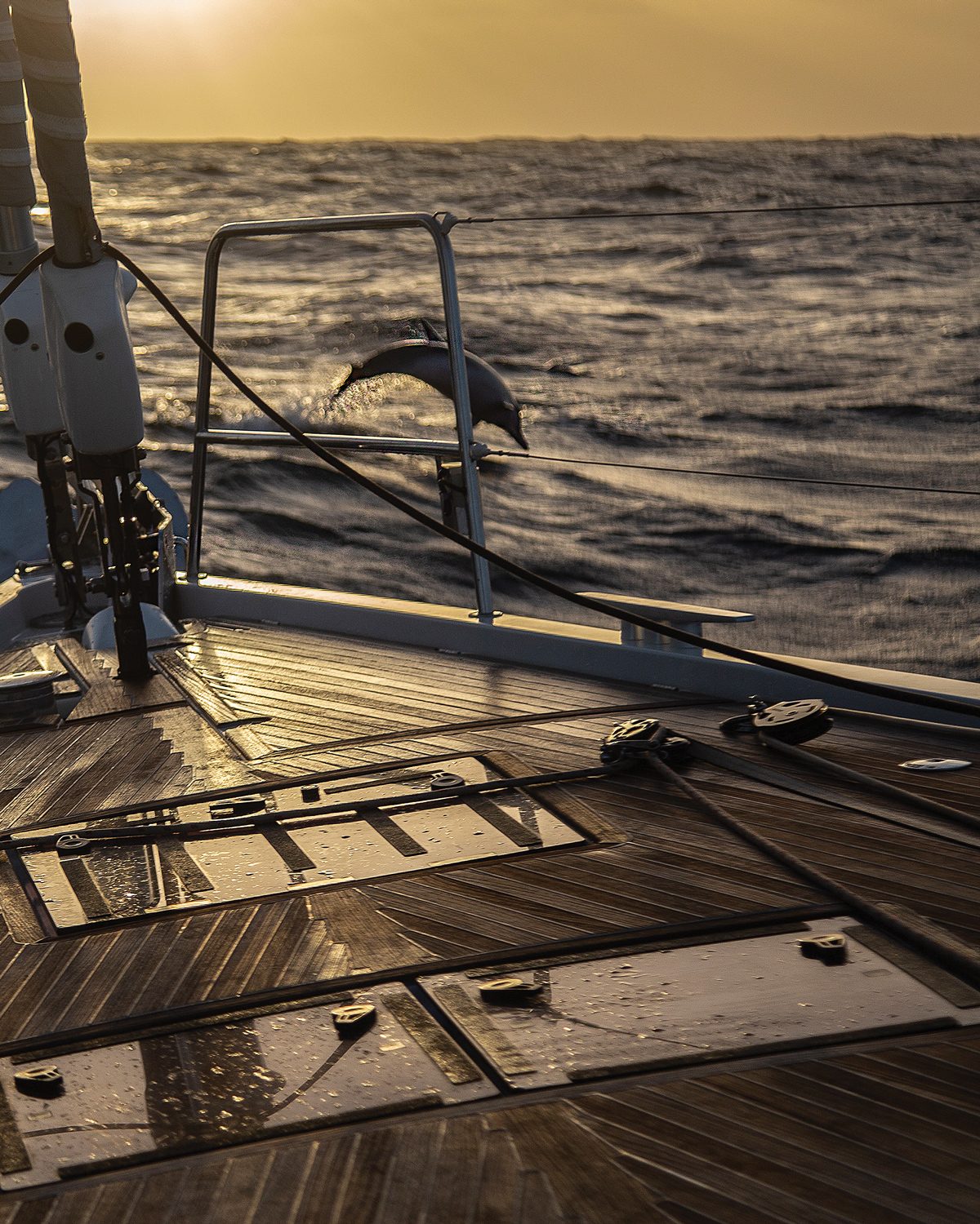 Bow of the Catamaran