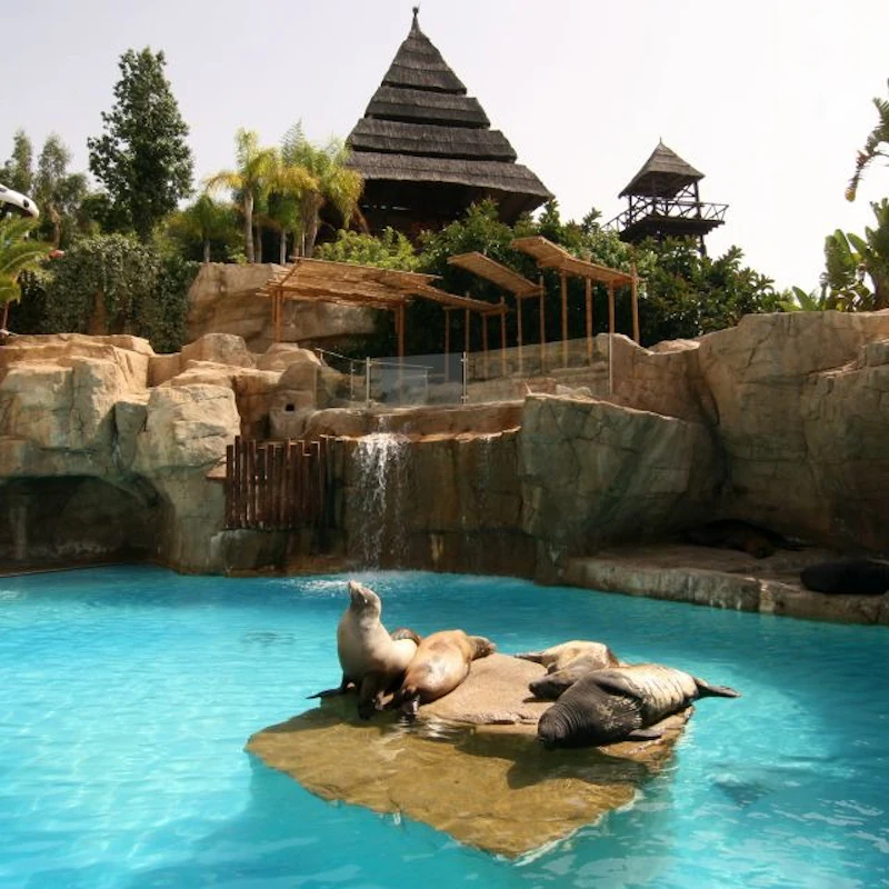 Sea Lion Exhibit