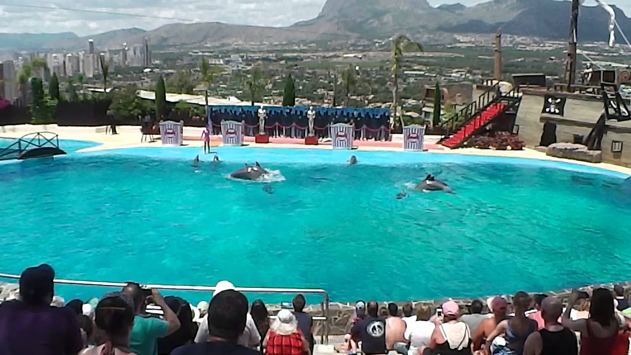 Dolphin Stadium
