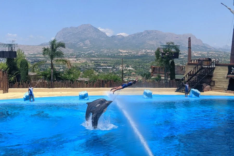 Dolphin Stadium