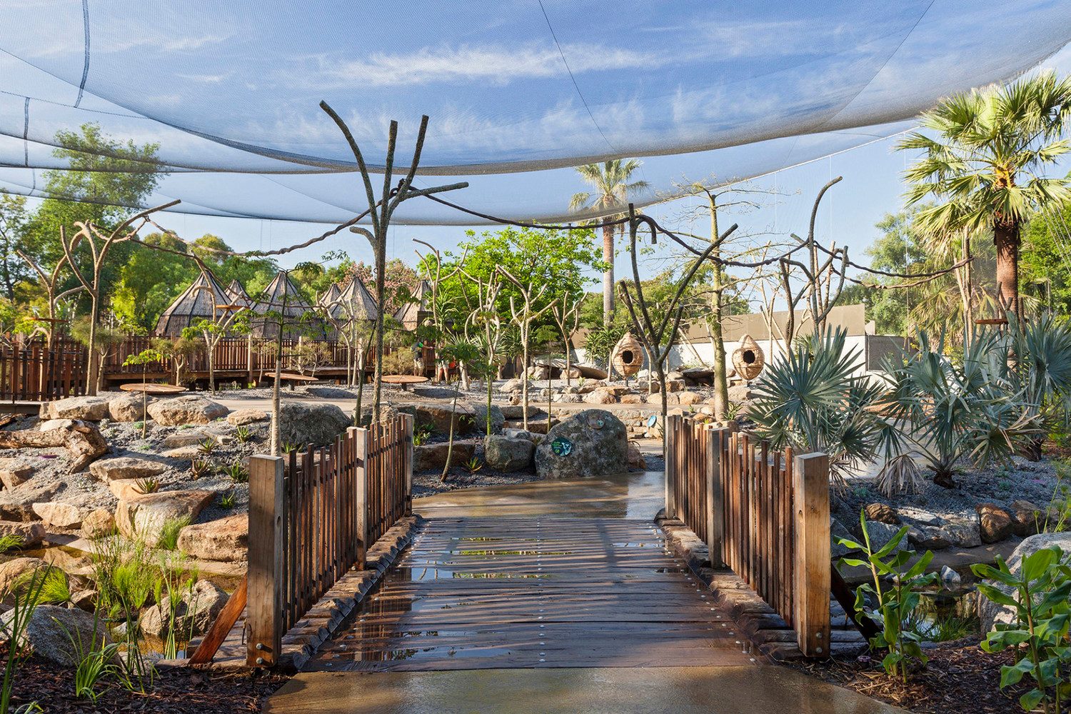 Lemur Forest