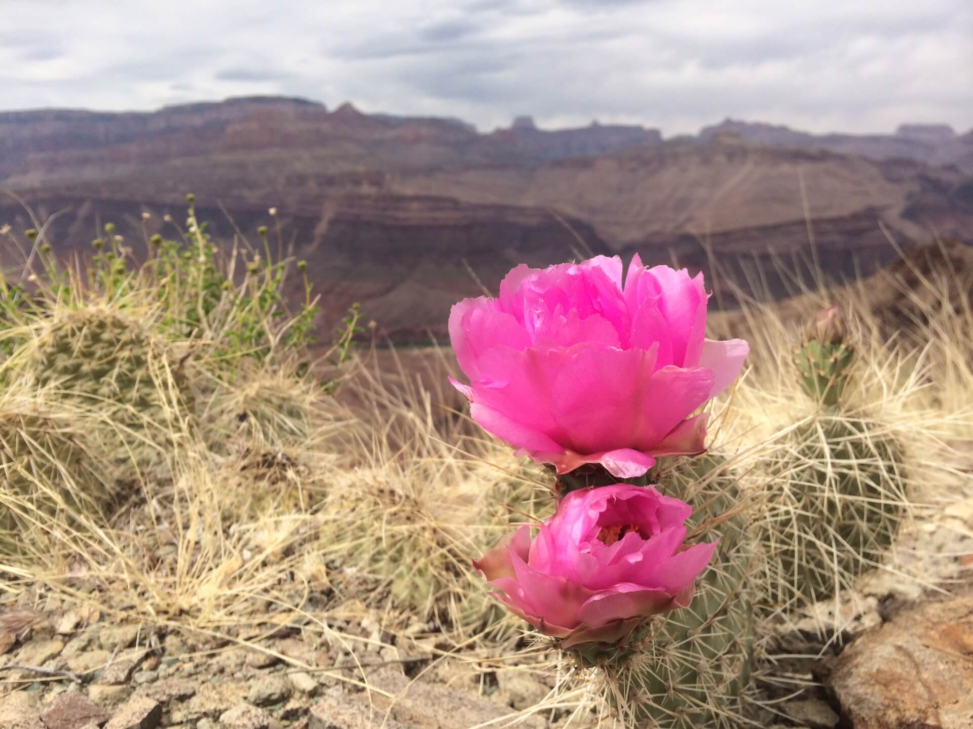 Hualapai Tribal Lands