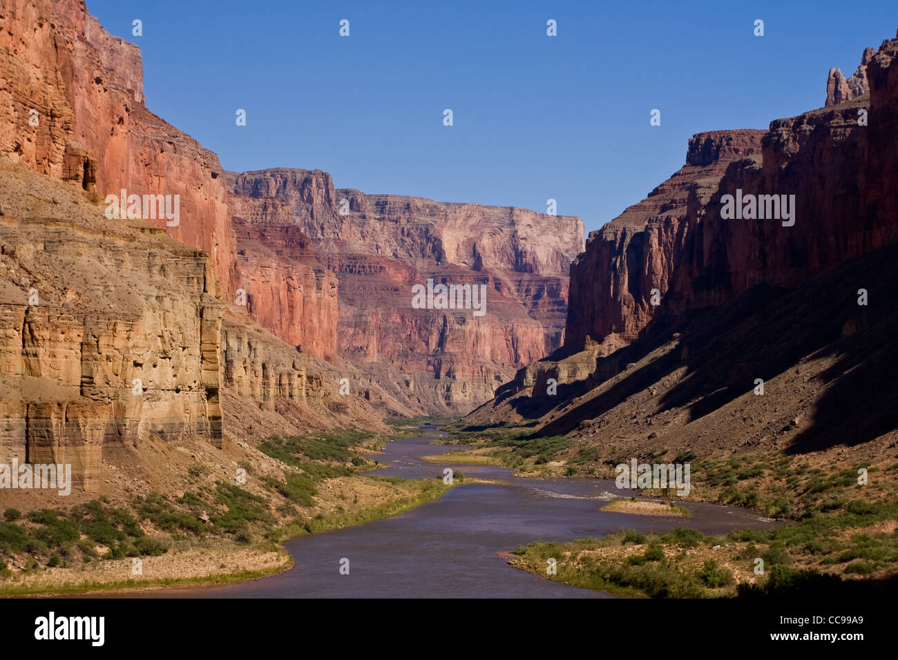 Colorado River Bank