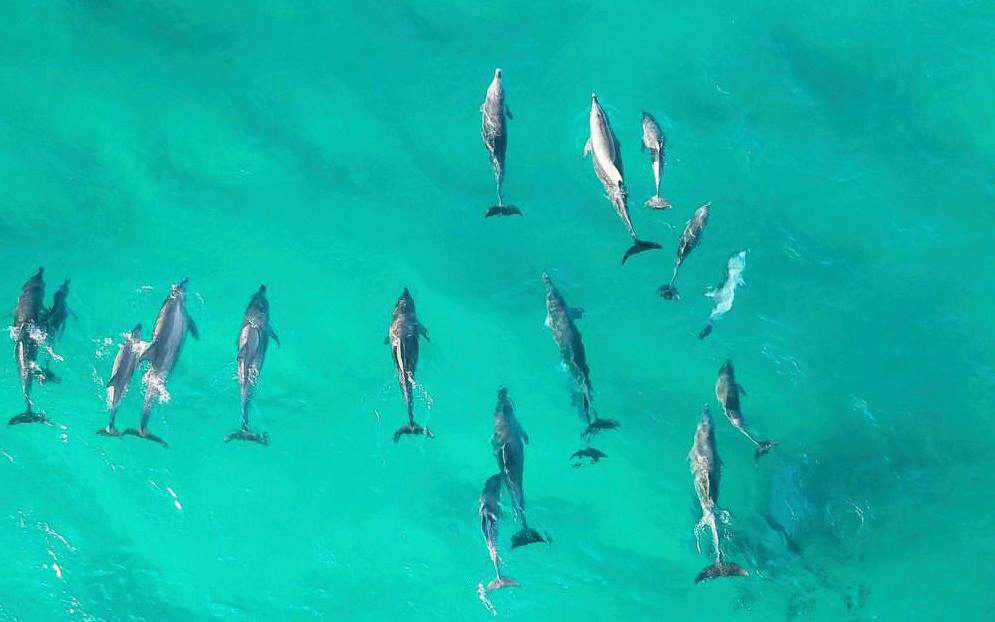 Port Stephens-Great Lakes Marine Park