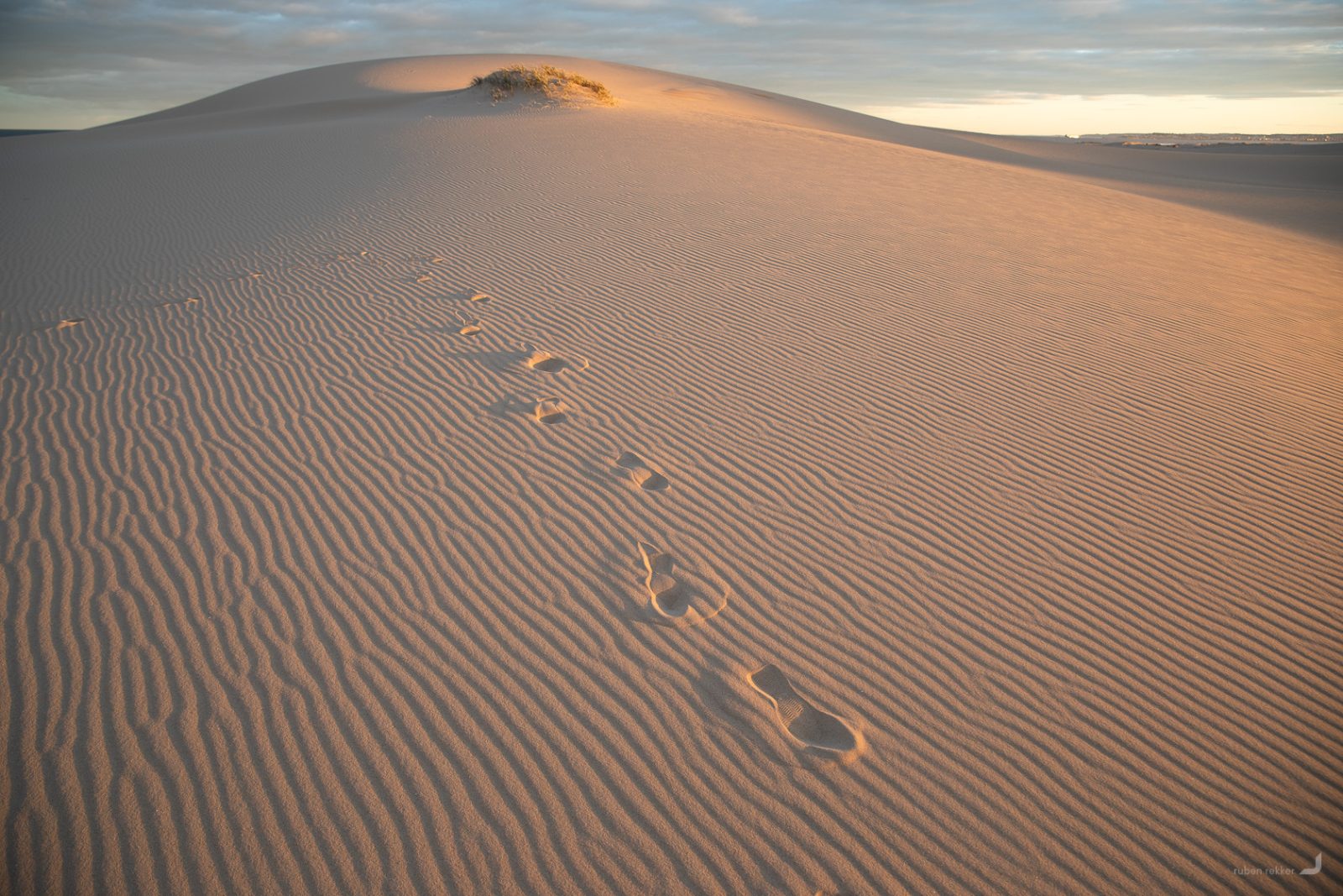 Stockton Bight Sand Dunes