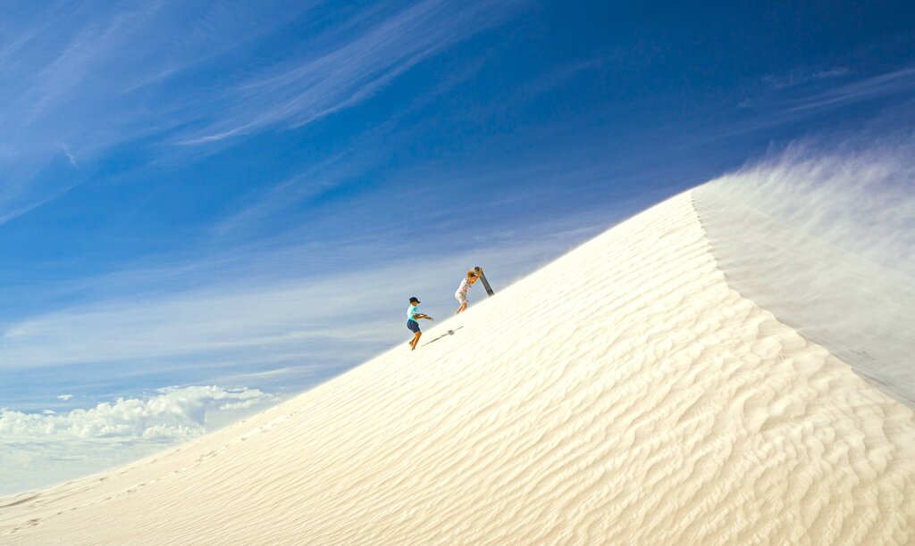 Port Stephens Dolphin Cruise and Sandboarding