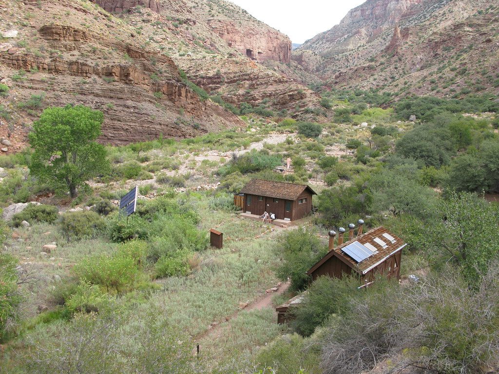 Bright Angel Creek and Cottonwood