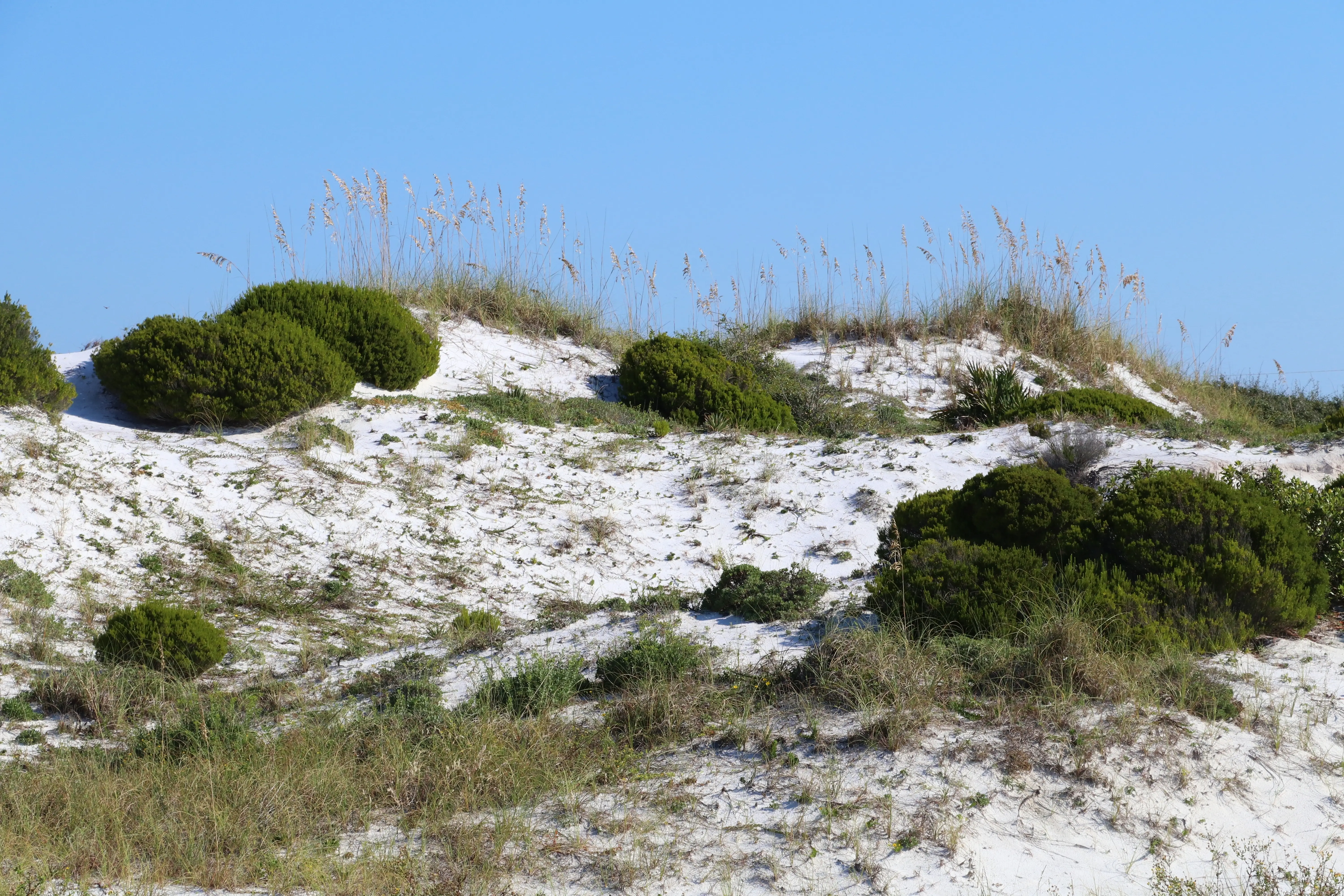 Henderson Beach State Park