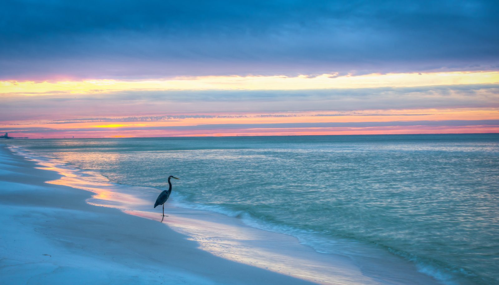 Gulf Coast Horizon