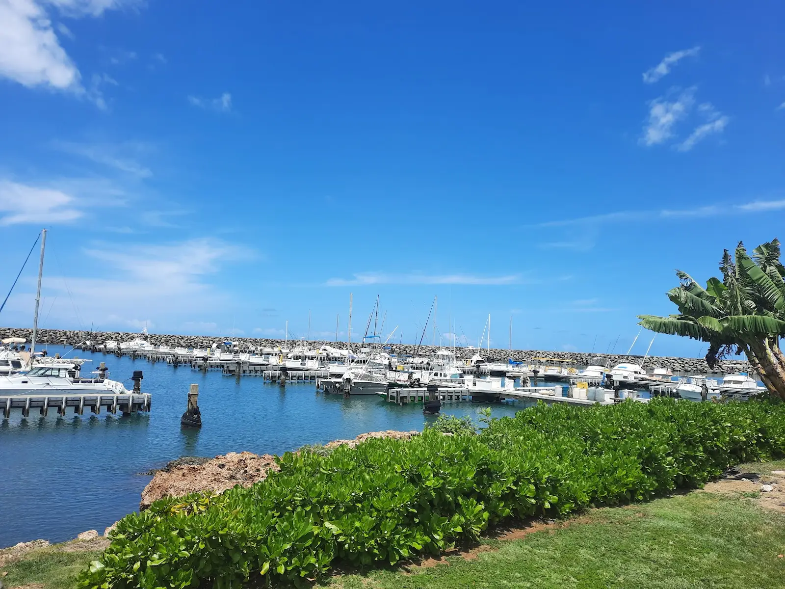 Waianae Boat Harbor Pier