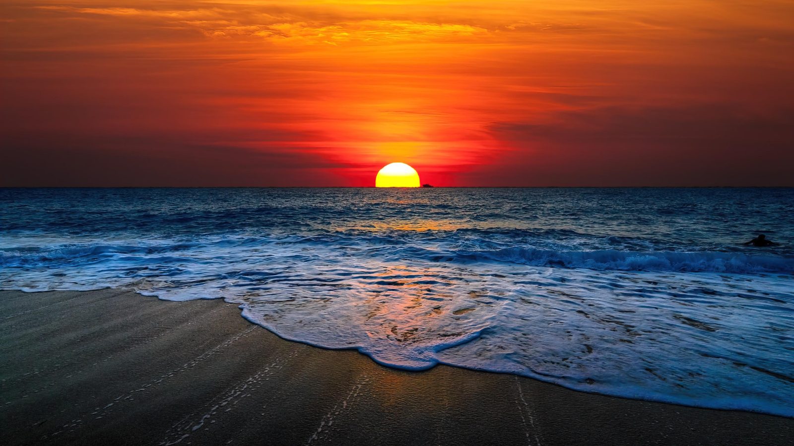 Pacific Horizon View