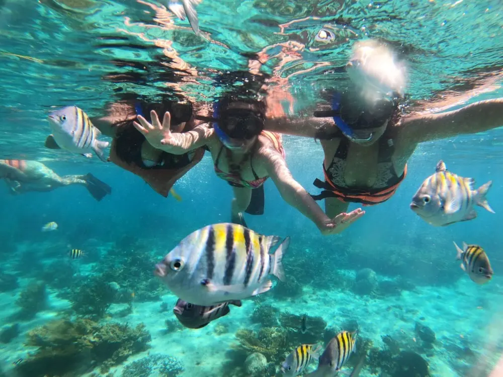 Marine Coral Reef