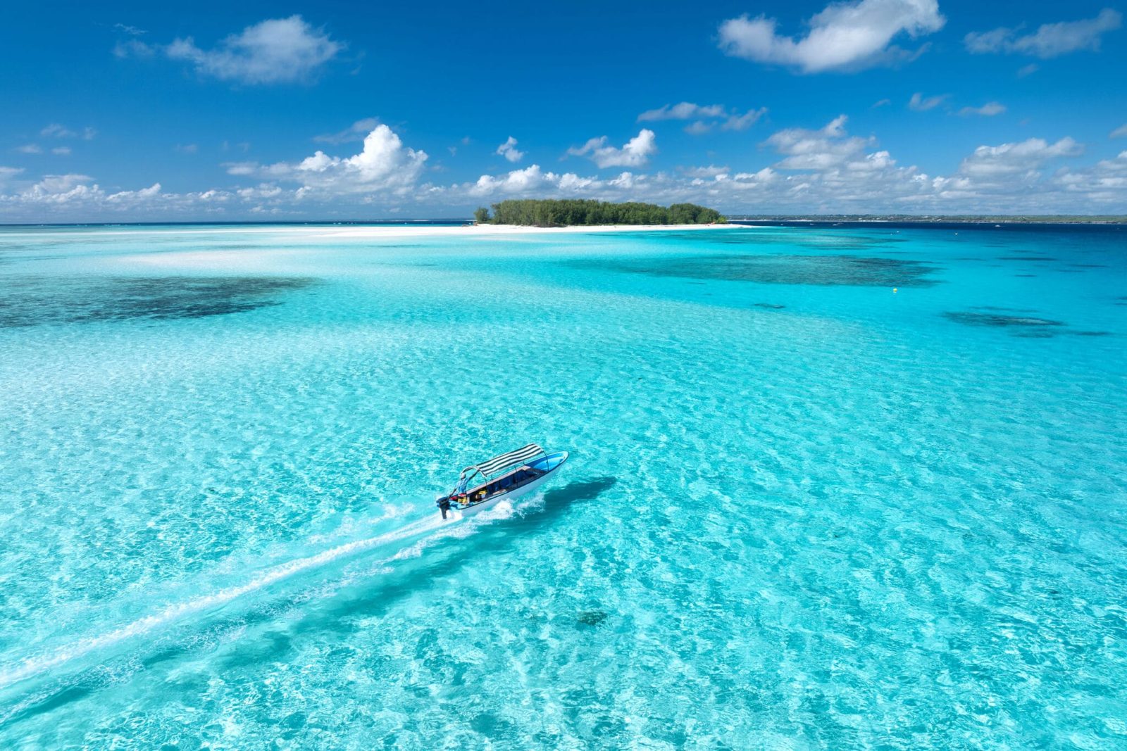 The Lagoon
