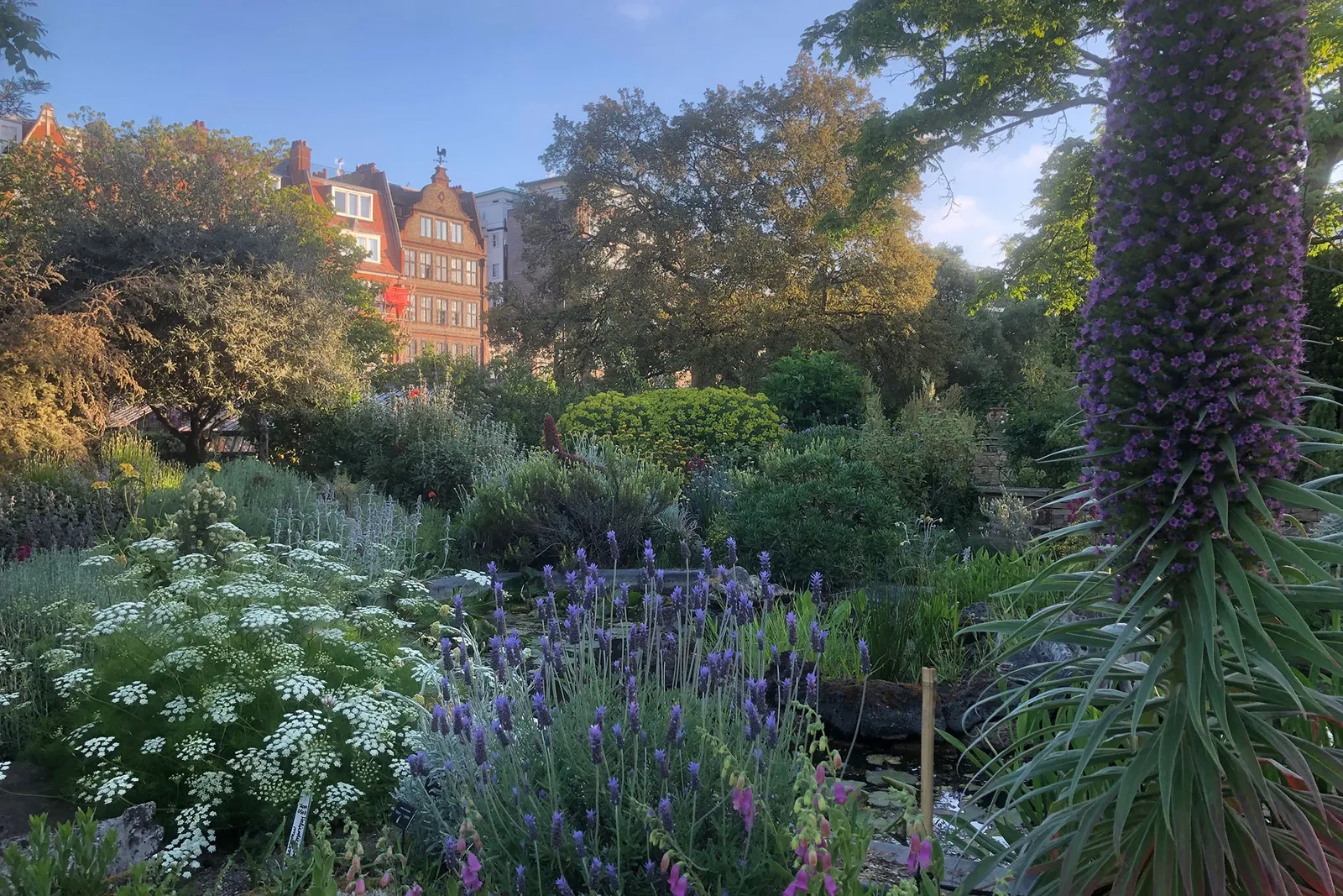 Chelsea Physic Garden