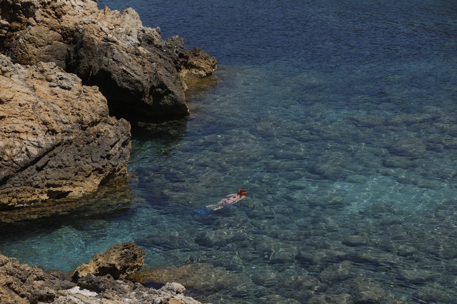 Your experience at Costa Brava Kayak and Snorkel Tour