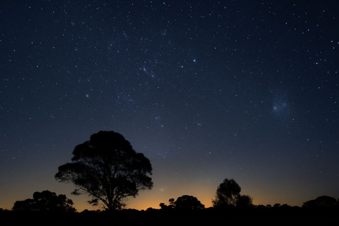 Māori Astronomy