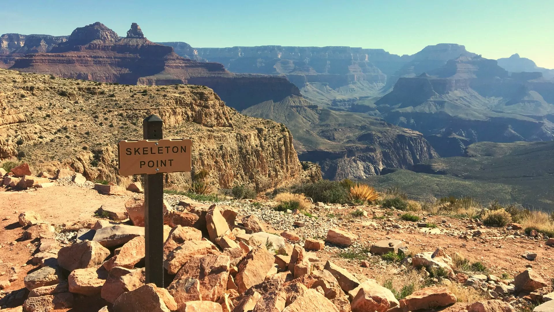 Skeleton Point