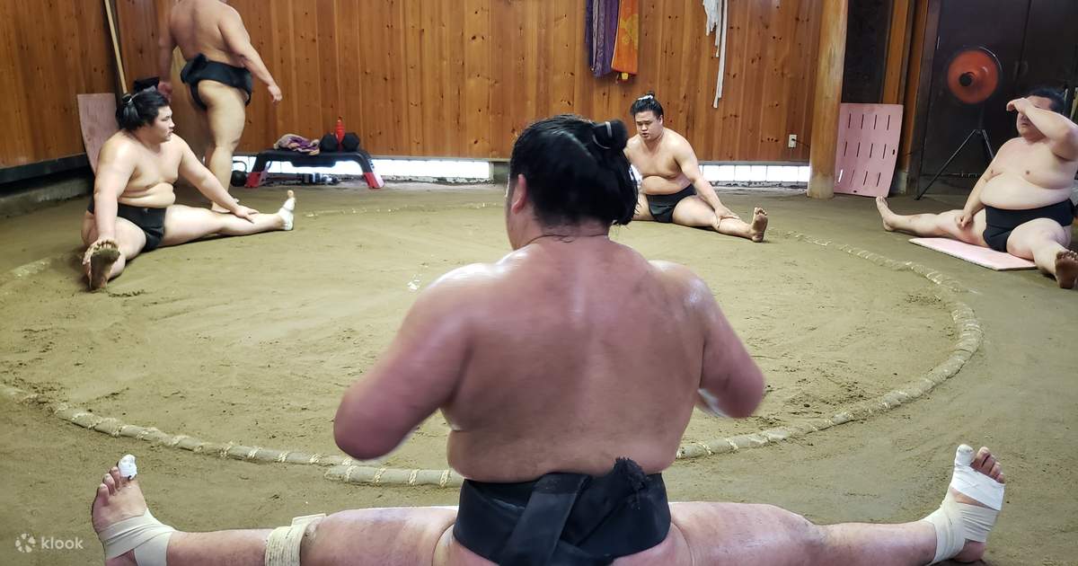 Tokyo Sumo Morning Practice Tour Experience
