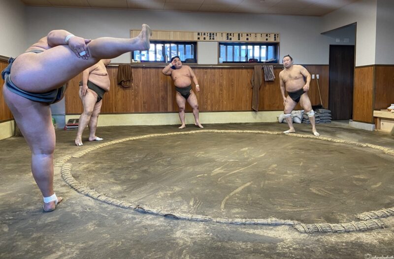 Tokyo Sumo Morning Practice Tour