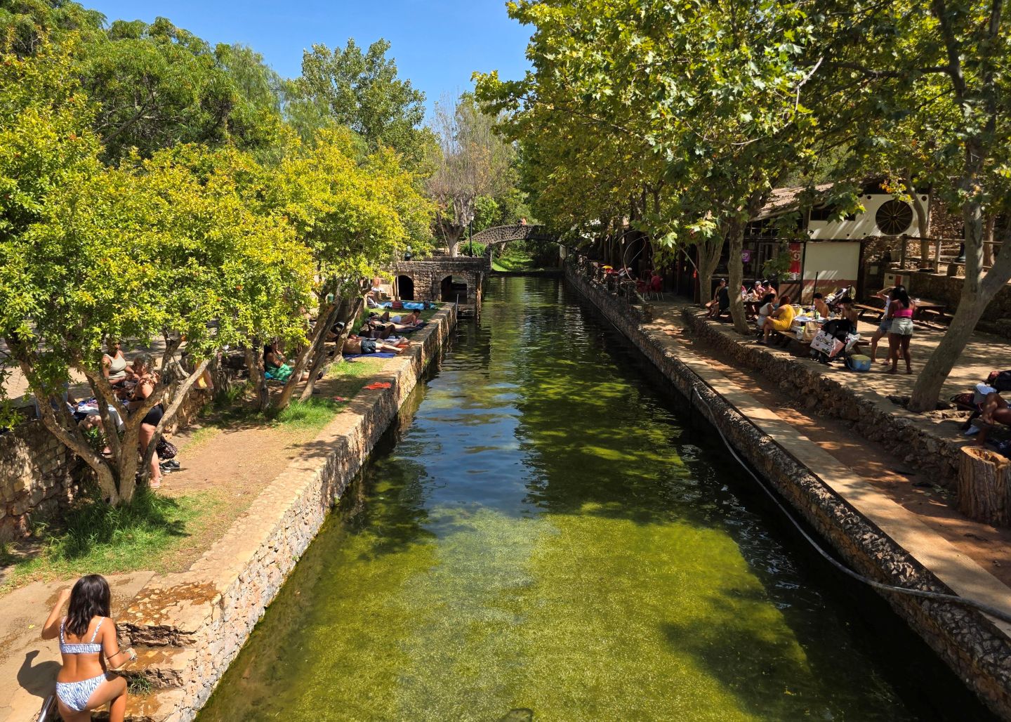 Alte Springs