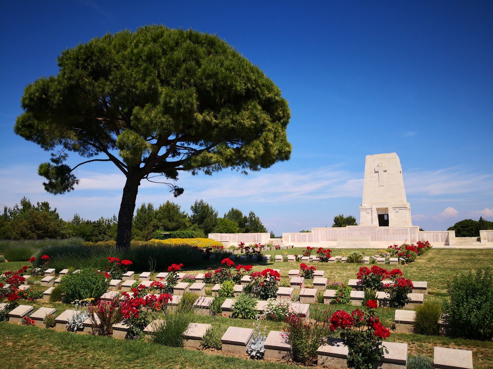 Your experience at Gallipoli Tour From Istanbul