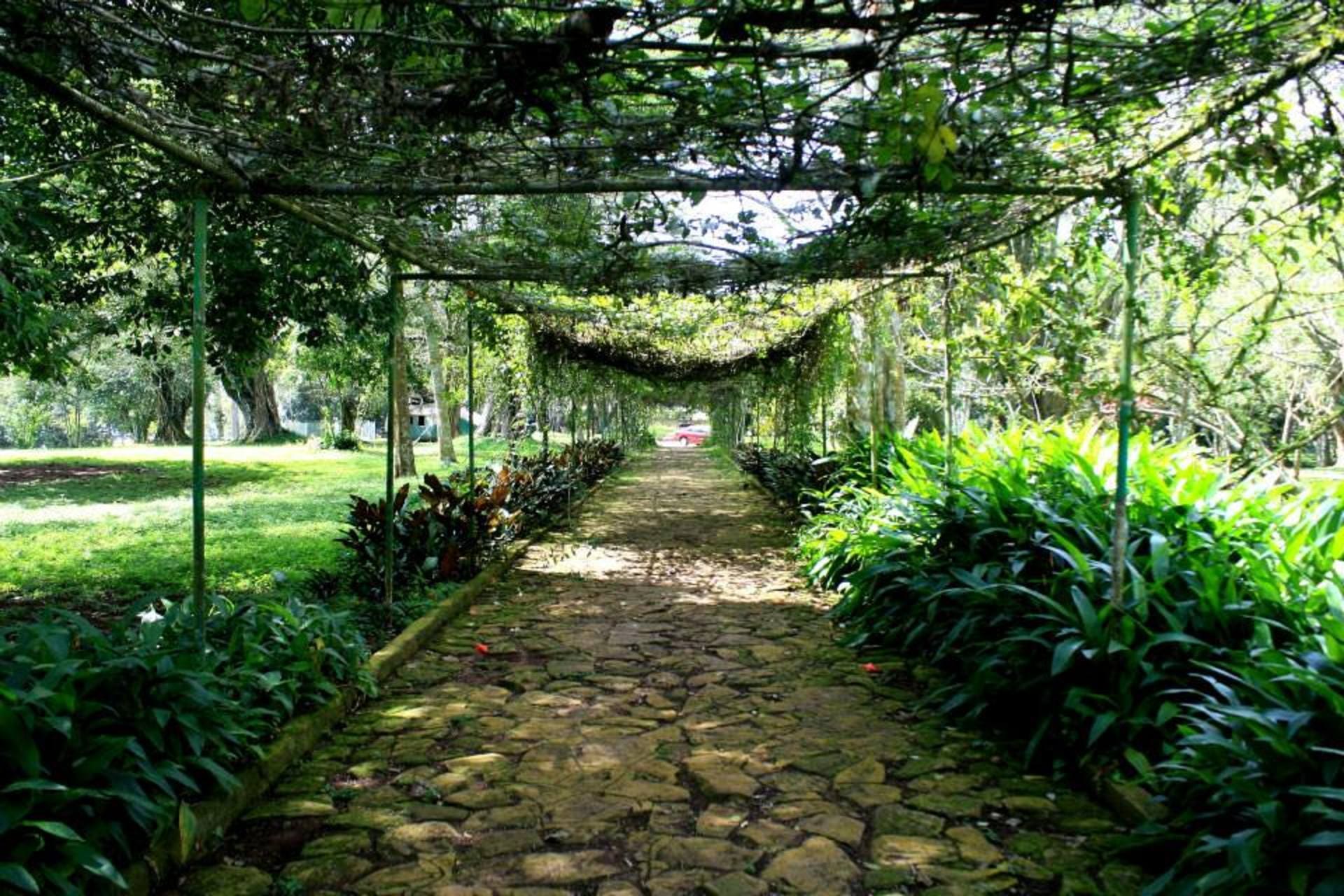 Botanical Path
