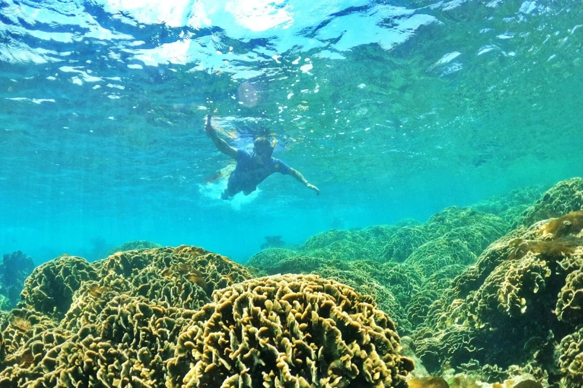 Your experience at 3 Island Tour Phu Quoc