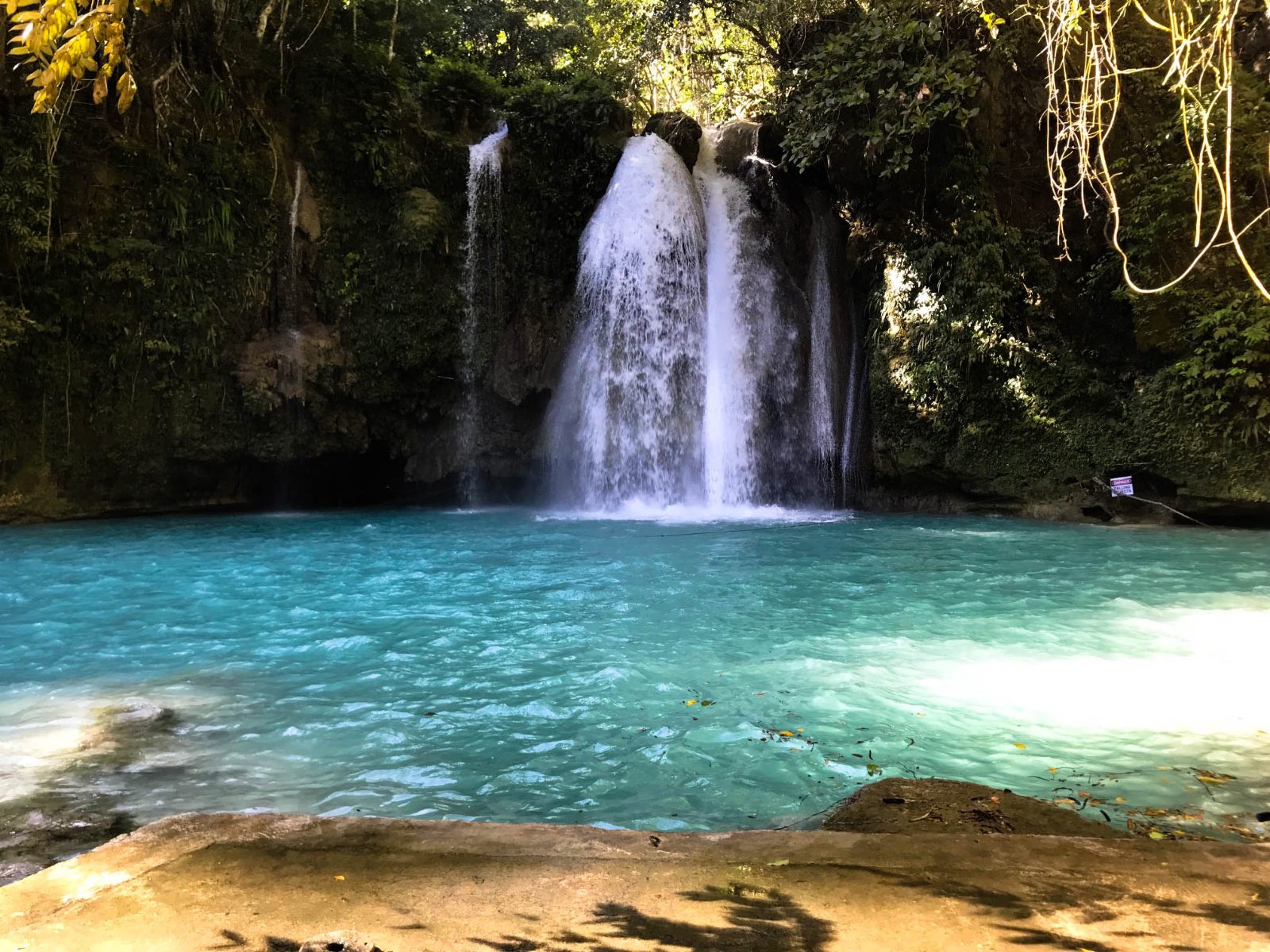 Level 1 Falls