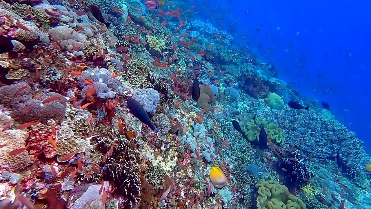 Nusa Lembongan