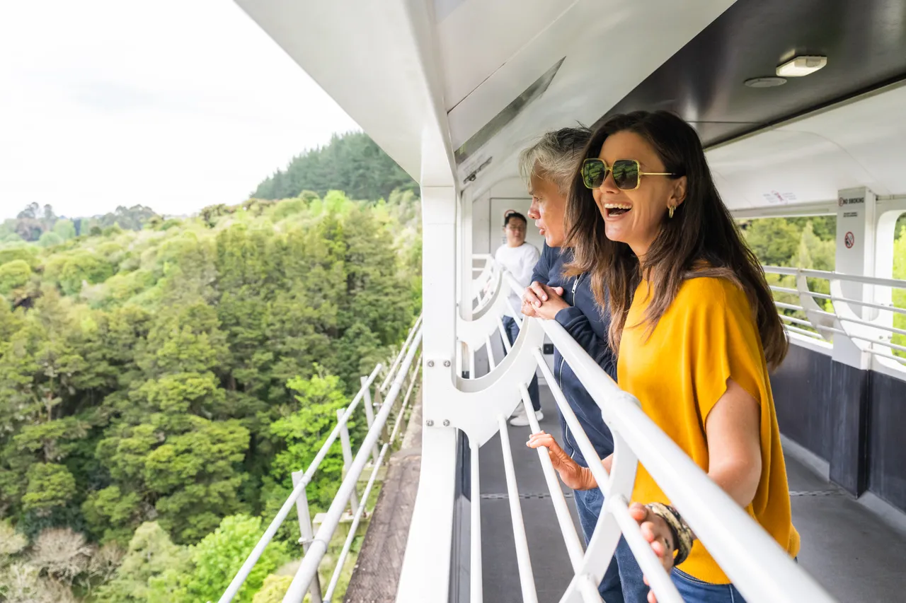Your experience at Tranzalpine Day Tour From Christchurch
