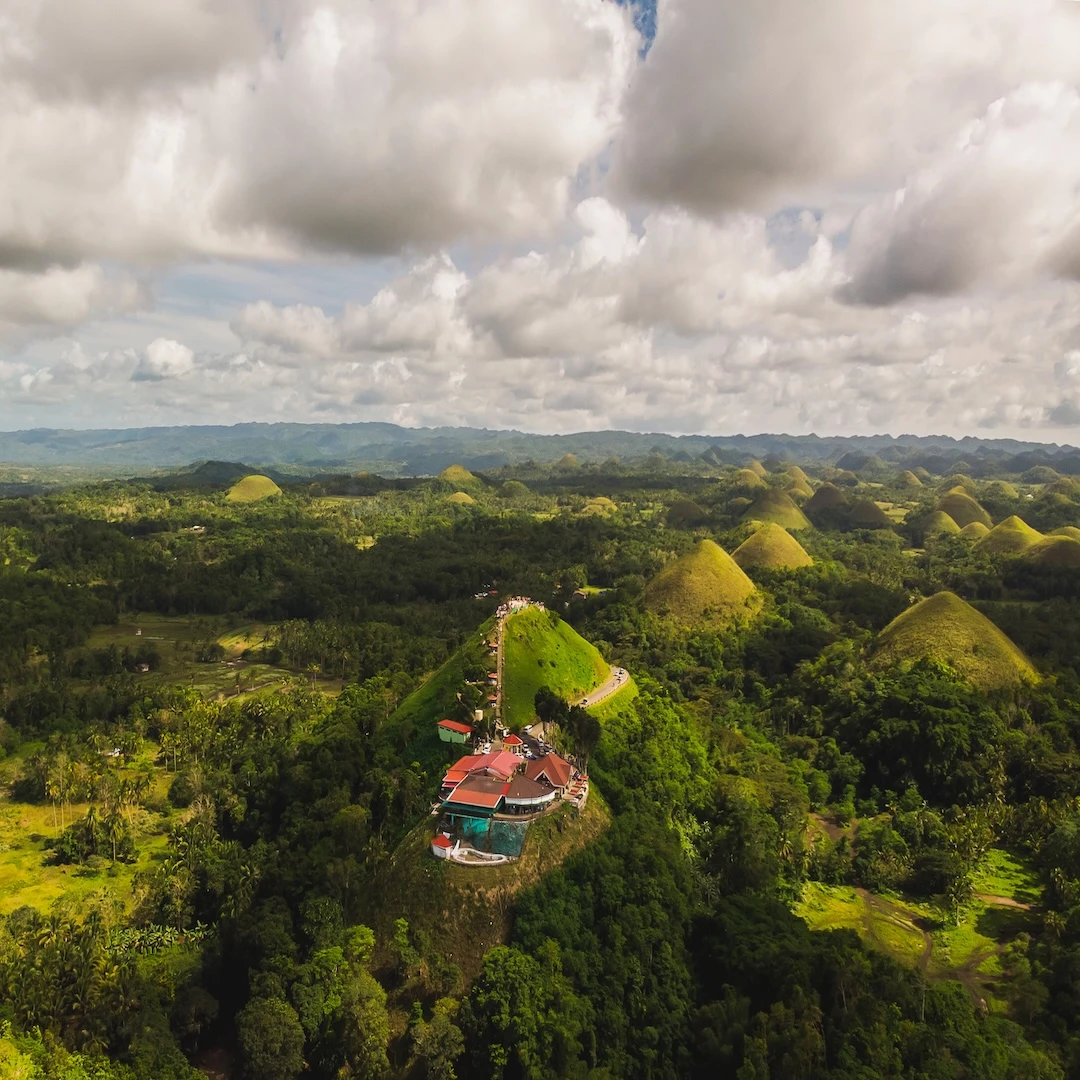 Bohol Day Trip from Cebu Overview