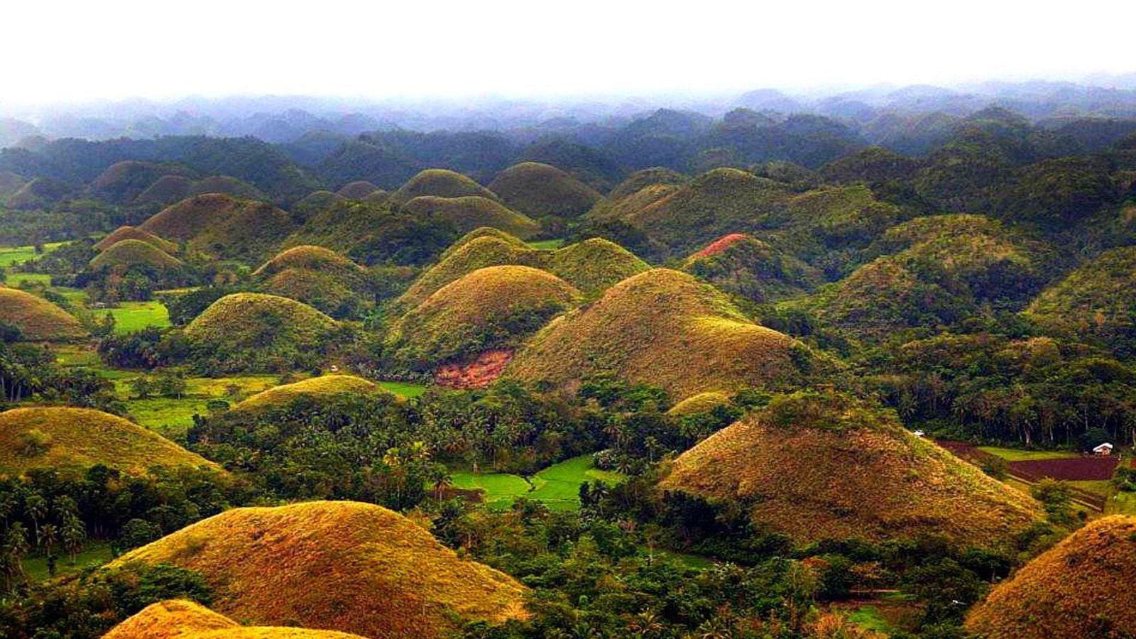 Panoramic Overlook
