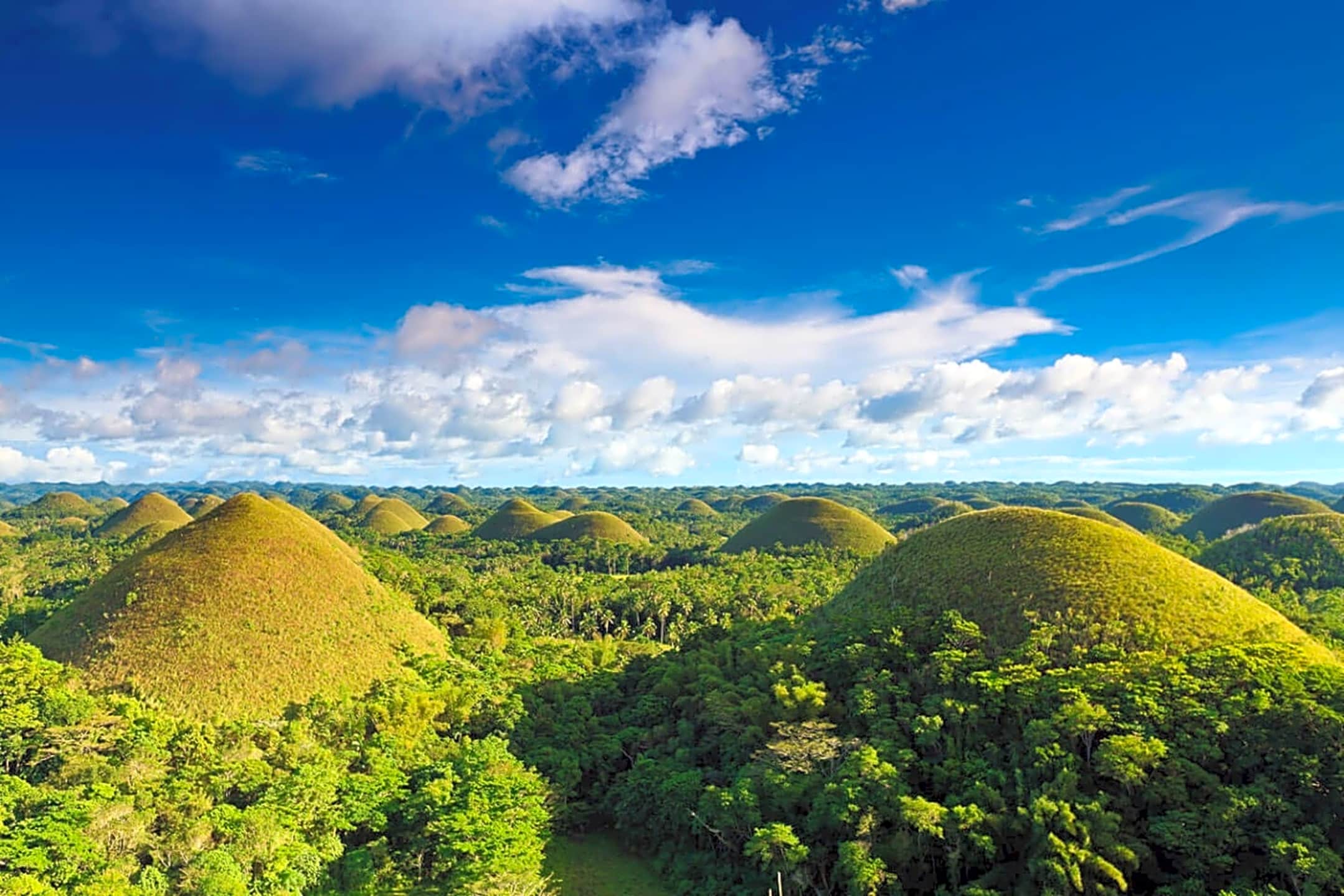 Bohol Day Trip From Cebu