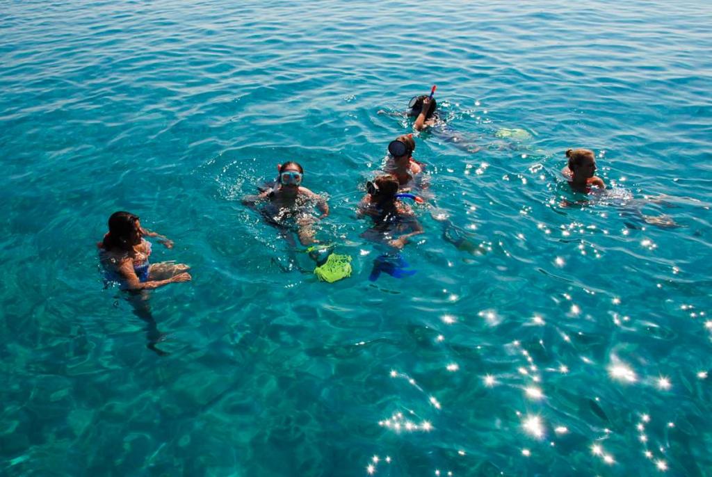 Swimming Stop